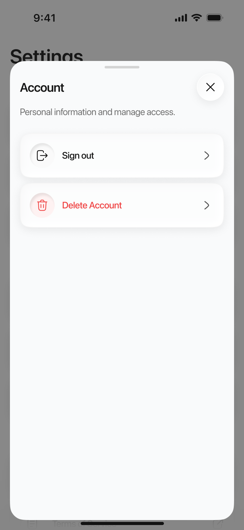 Limemo on iPhone: the Account sheet in Settings, with Sign out above Delete Account